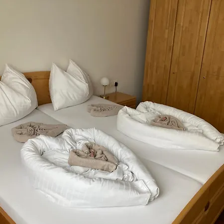 Tamino 2 * Schladming