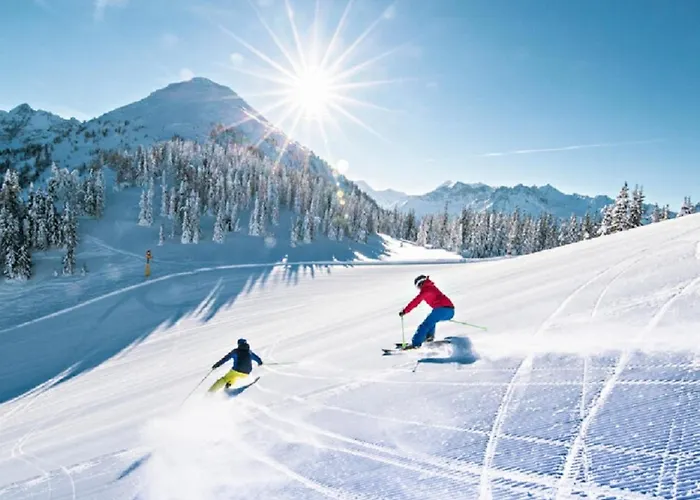 Tamino 2 * שלאדמינג