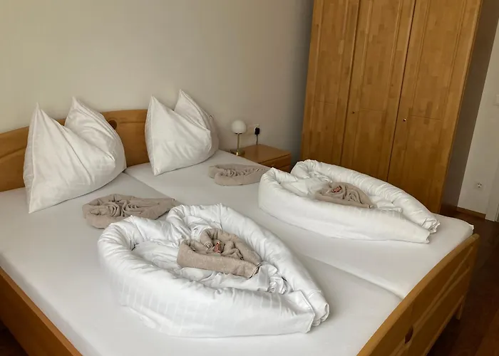 Tamino 2 * שלאדמינג